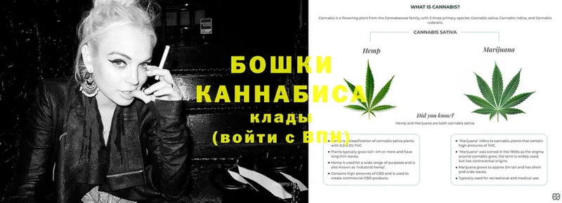 Канабис White Widow  Кизляр 